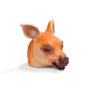 kangaroo_side.webp